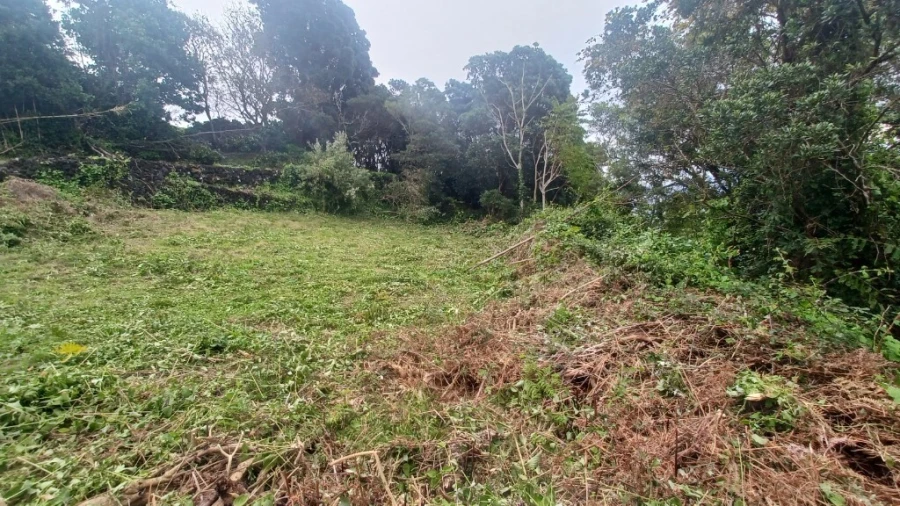 Terreno para Venda em Santo Amaro Foto 10