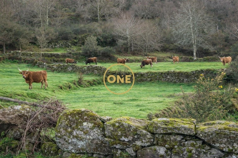 Moradia T2 para Venda em Cabreiro Foto 7