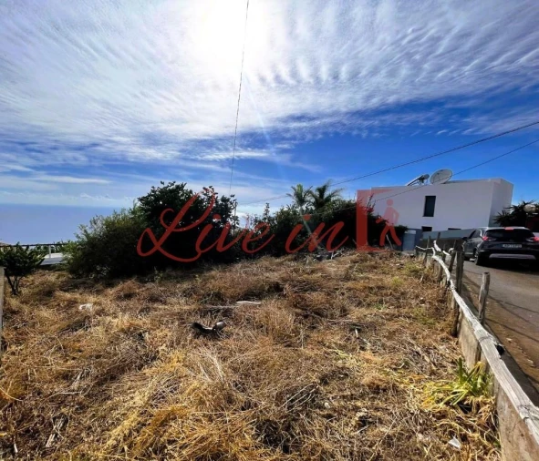 Terreno para Venda em Estreito da Calheta Foto 8