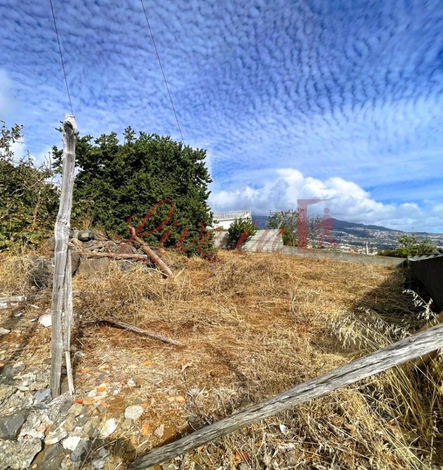 Terreno para Venda em Estreito da Calheta Foto 13
