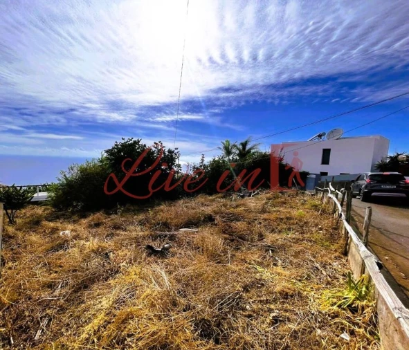 Terreno para Venda em Estreito da Calheta Foto 16