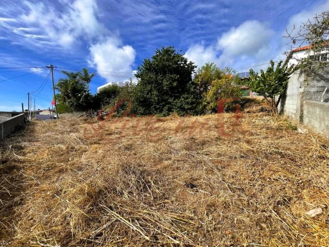 Terreno para Venda em Estreito da Calheta Foto 15