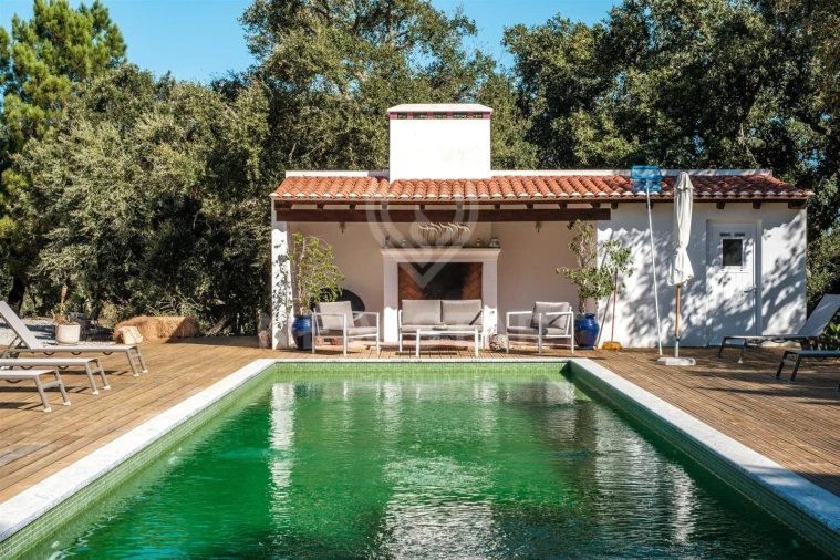 Quinta T8 para Venda em Santo Andre Foto 3