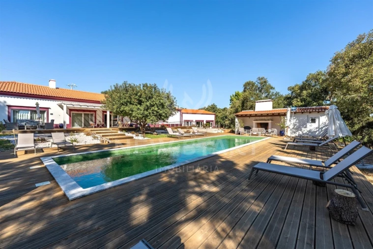 Quinta T8 para Venda em Santo Andre