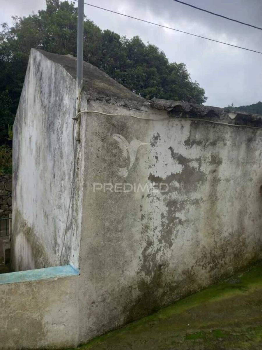 Quinta T3 para Venda em Fontinhas Foto 3