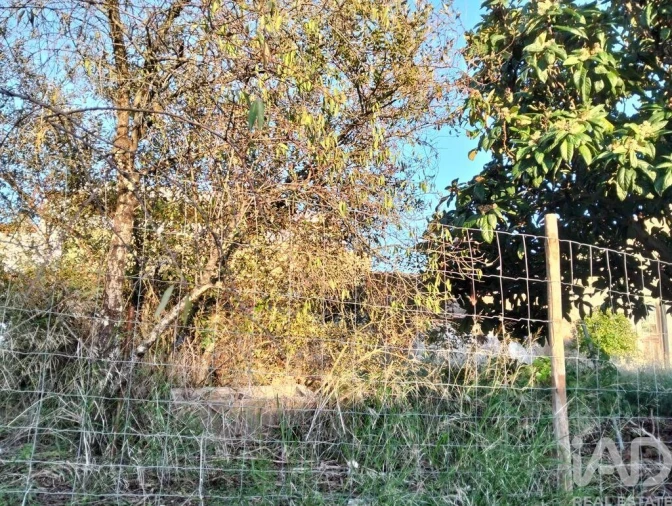 Moradia T2 para Venda em Torres Novas (São Pedro), Lapas e Ribeira Branca Foto 27