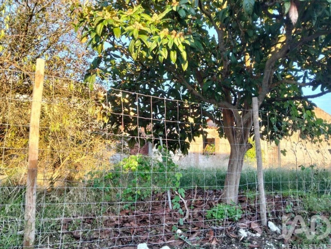 Moradia T2 para Venda em Torres Novas (São Pedro), Lapas e Ribeira Branca Foto 34