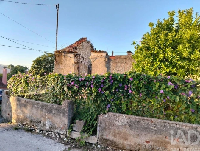 Moradia T2 para Venda em Torres Novas (São Pedro), Lapas e Ribeira Branca Foto 14