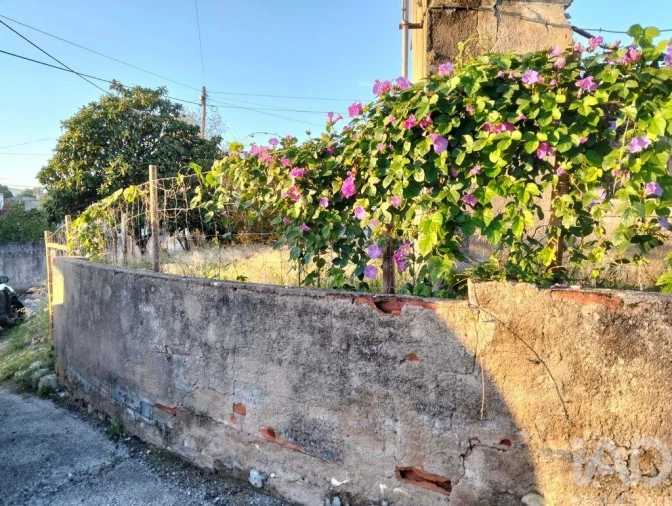 Moradia T2 para Venda em Torres Novas (São Pedro), Lapas e Ribeira Branca Foto 20