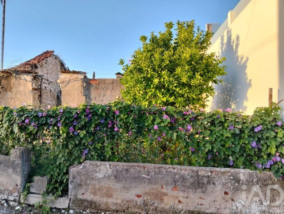 Moradia T2 para Venda em Torres Novas (São Pedro), Lapas e Ribeira Branca Foto 18