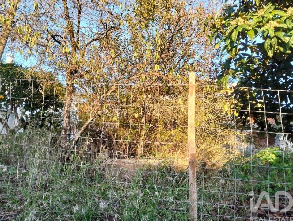 Moradia T2 para Venda em Torres Novas (São Pedro), Lapas e Ribeira Branca Foto 28