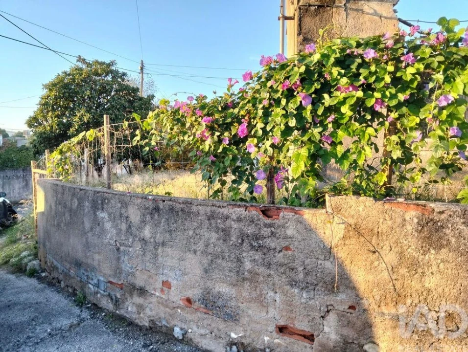 Moradia T2 para Venda em Torres Novas (São Pedro), Lapas e Ribeira Branca Foto 20