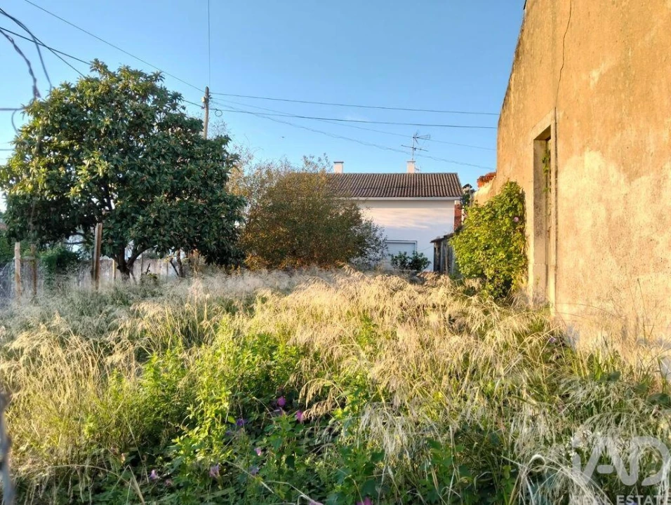 Moradia T2 para Venda em Torres Novas (São Pedro), Lapas e Ribeira Branca Foto 12