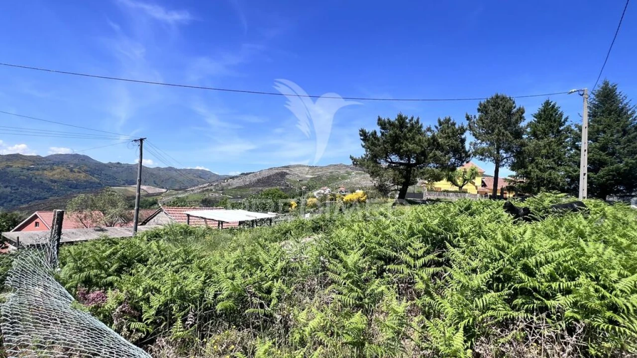 Moradia T3 para Venda em Rio Douro Foto 13