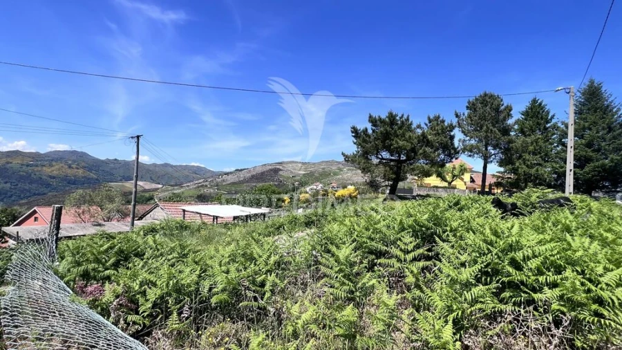 Moradia T3 para Venda em Rio Douro Foto 13