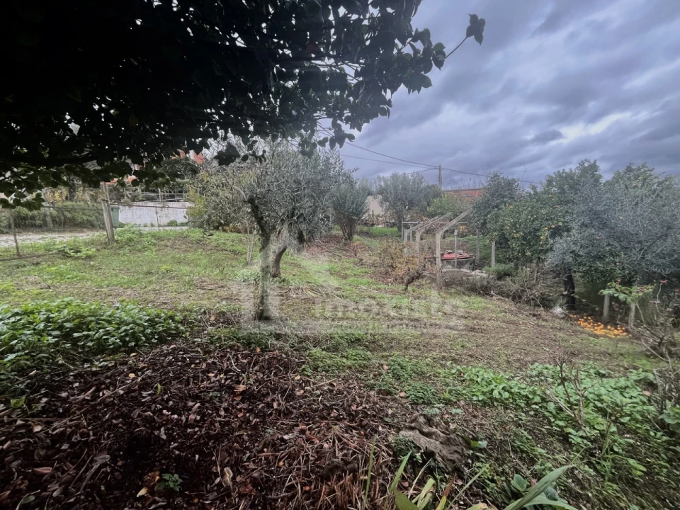 Quinta T2 para Venda em Figueiró dos Vinhos e Bairradas Foto 13