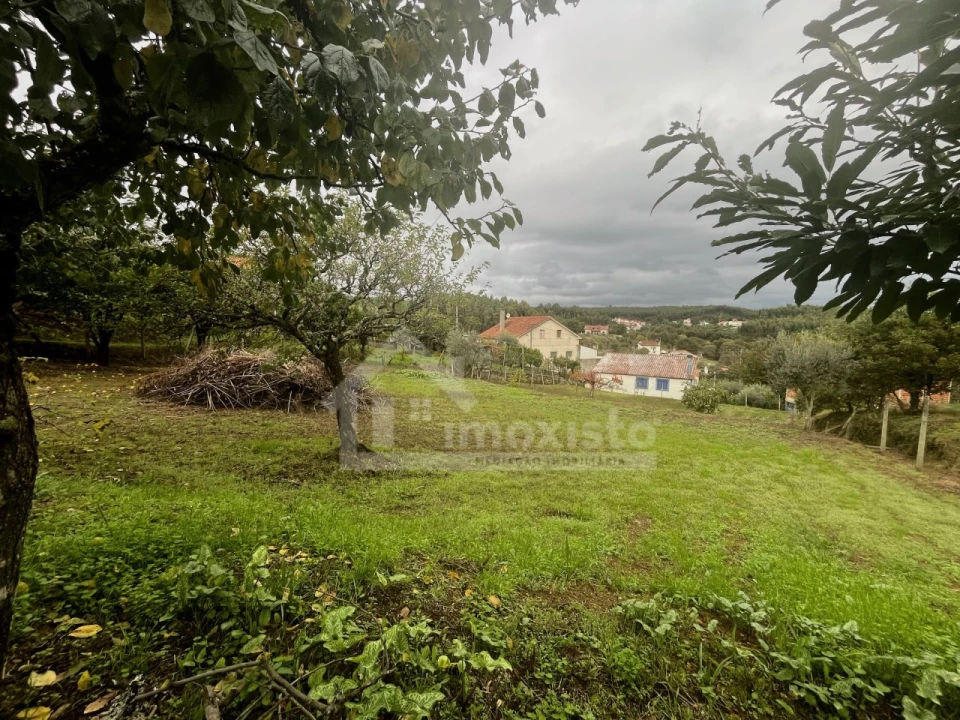 Quinta T2 para Venda em Figueiró dos Vinhos e Bairradas Foto 21