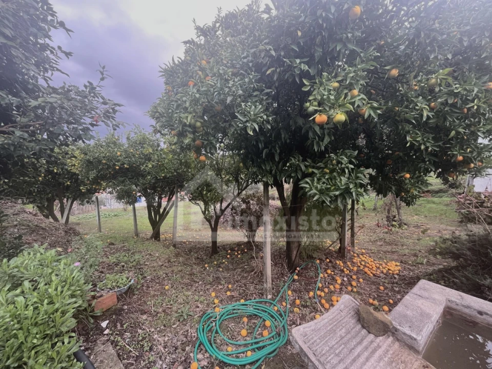 Quinta T2 para Venda em Figueiró dos Vinhos e Bairradas Foto 25