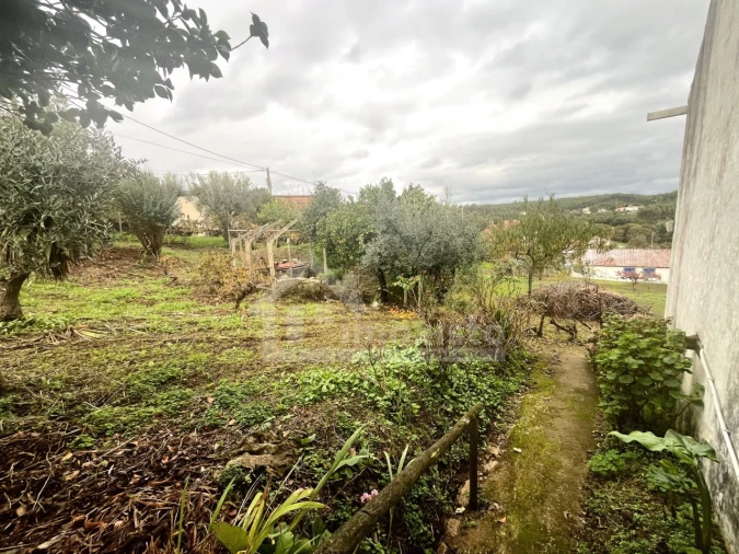 Quinta T2 para Venda em Figueiró dos Vinhos e Bairradas Foto 14