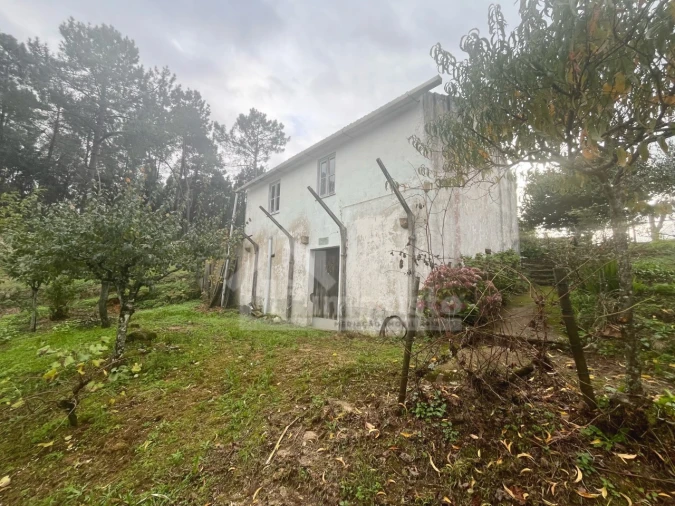 Quinta T2 para Venda em Figueiró dos Vinhos e Bairradas Foto 15