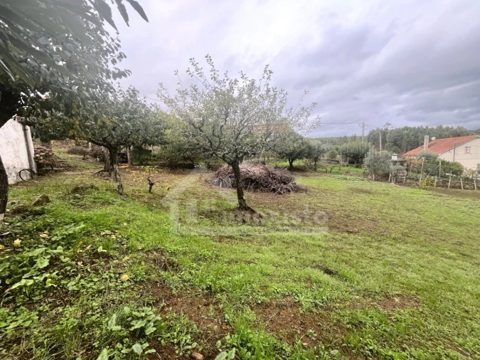 Quinta T2 para Venda em Figueiró dos Vinhos e Bairradas Foto 22