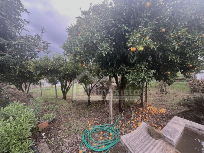 Quinta T2 para Venda em Figueiró dos Vinhos e Bairradas Foto 25