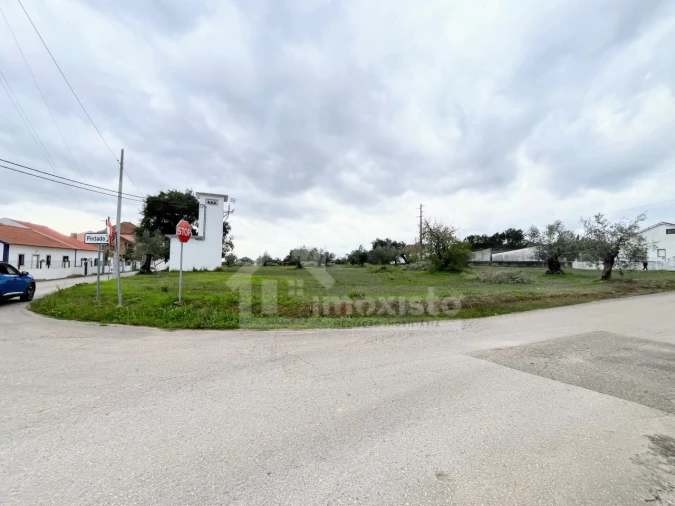 Terreno Agricola ou Rústico para Venda em Casais e Alviobeira Foto 1