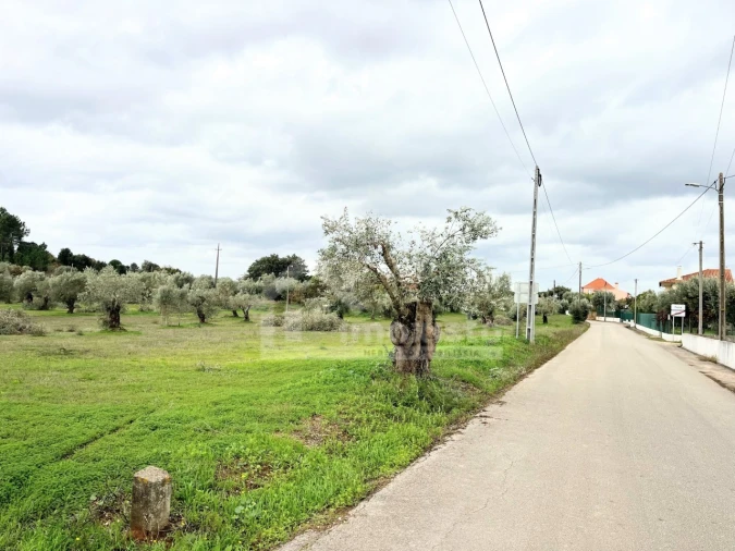 Terreno Agricola ou Rústico para Venda em Casais e Alviobeira Foto 6