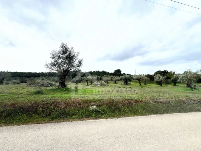 Terreno Agricola ou Rústico para Venda em Casais e Alviobeira Foto 8