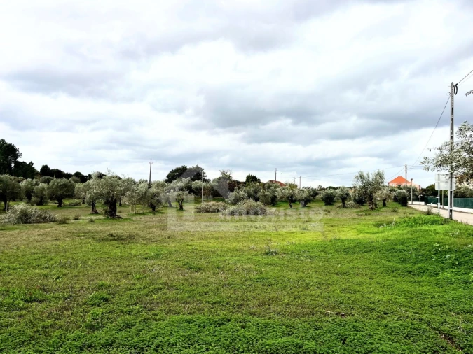 Terreno Agricola ou Rústico para Venda em Casais e Alviobeira Foto 9