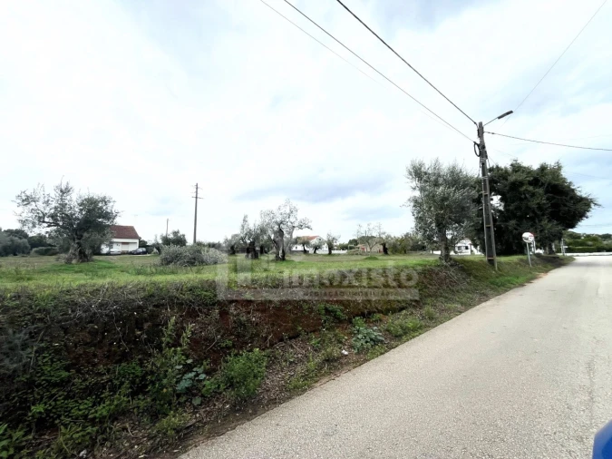 Terreno Agricola ou Rústico para Venda em Casais e Alviobeira Foto 11