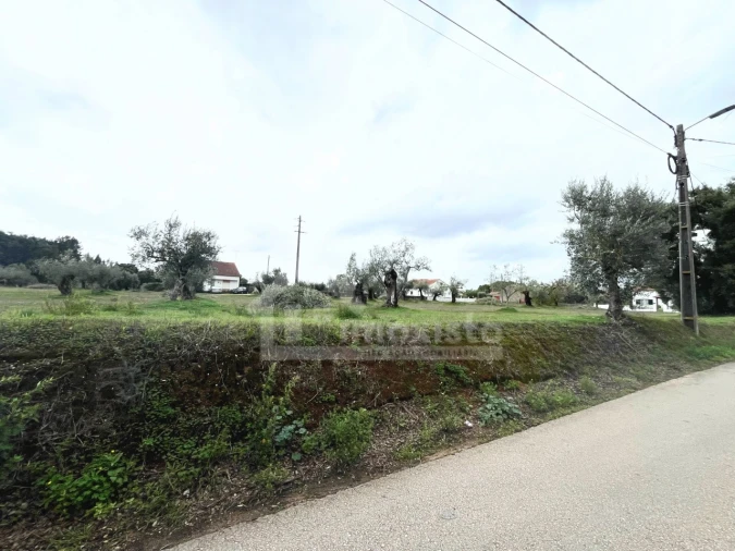 Terreno Agricola ou Rústico para Venda em Casais e Alviobeira Foto 12