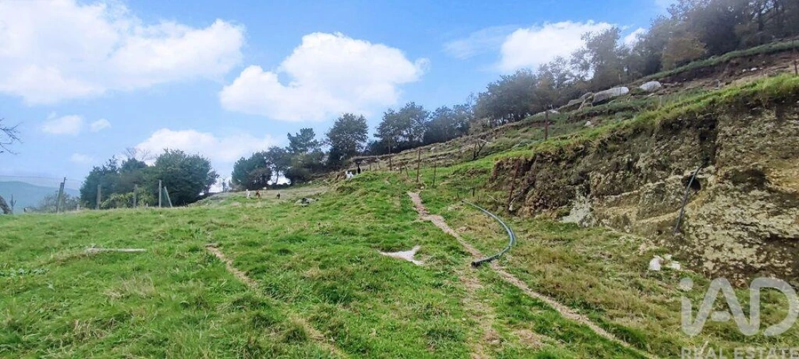 Moradia T2 para Venda em Labrujó, Rendufe e Vilar do Monte Foto 5