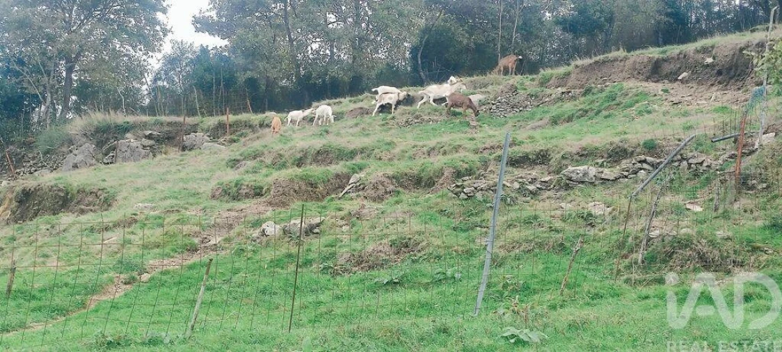 Moradia T2 para Venda em Labrujó, Rendufe e Vilar do Monte Foto 10