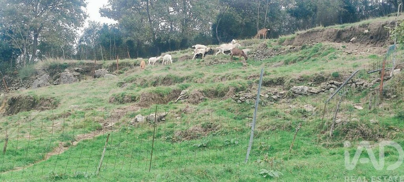 Moradia T2 para Venda em Labrujó, Rendufe e Vilar do Monte Foto 10