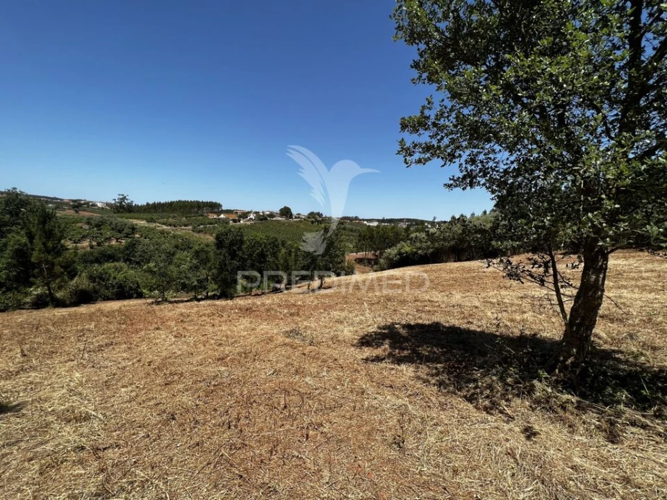 Quinta T3 para Venda em Landal Foto 14