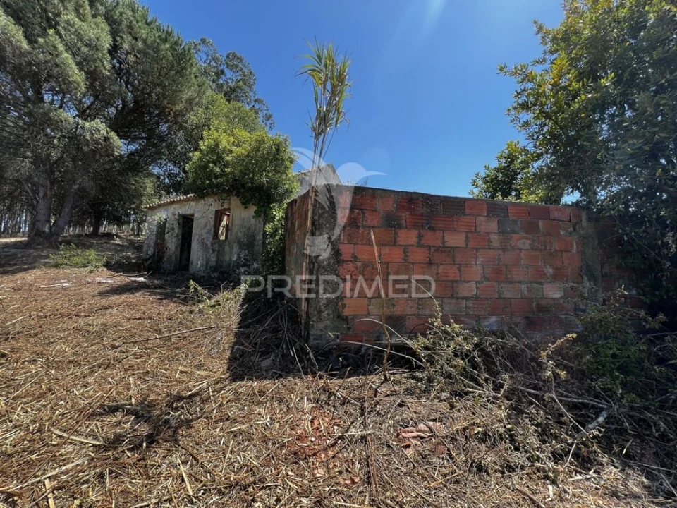 Quinta T3 para Venda em Landal Foto 4