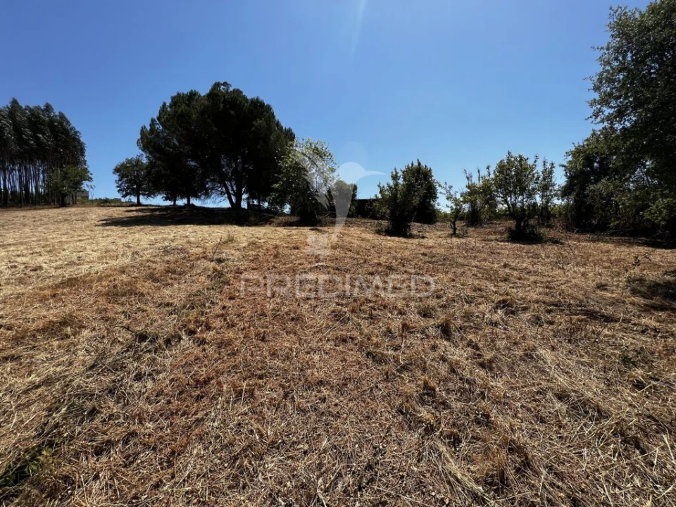 Quinta T3 para Venda em Landal Foto 7