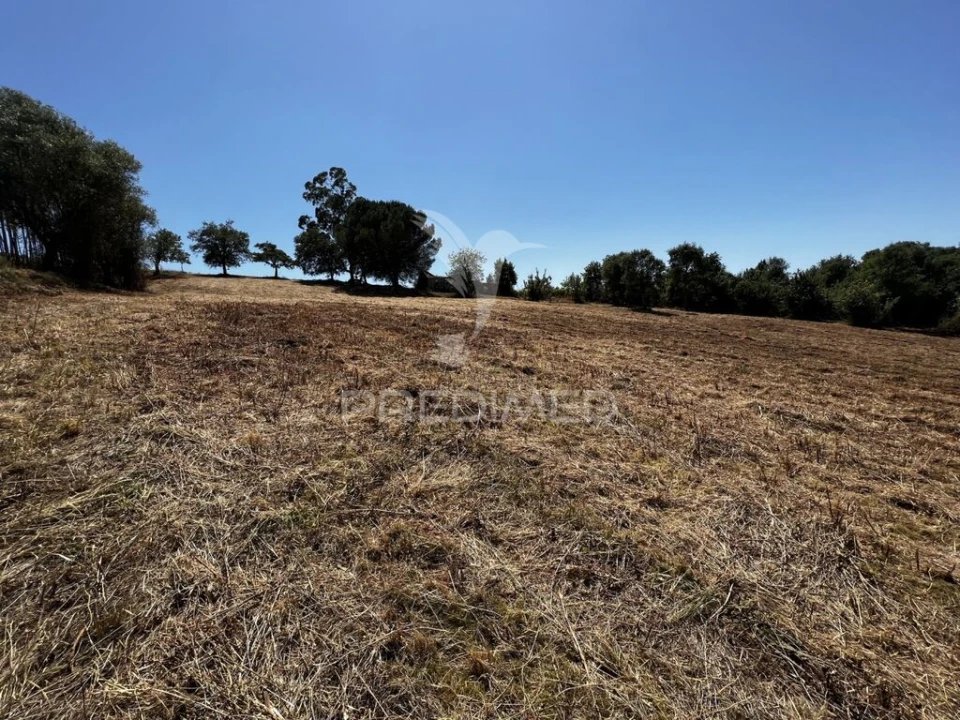 Quinta T3 para Venda em Landal Foto 9