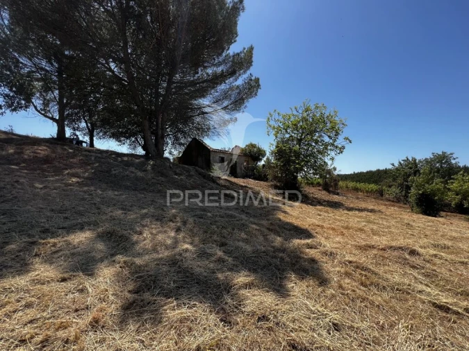 Quinta T3 para Venda em Landal Foto 3