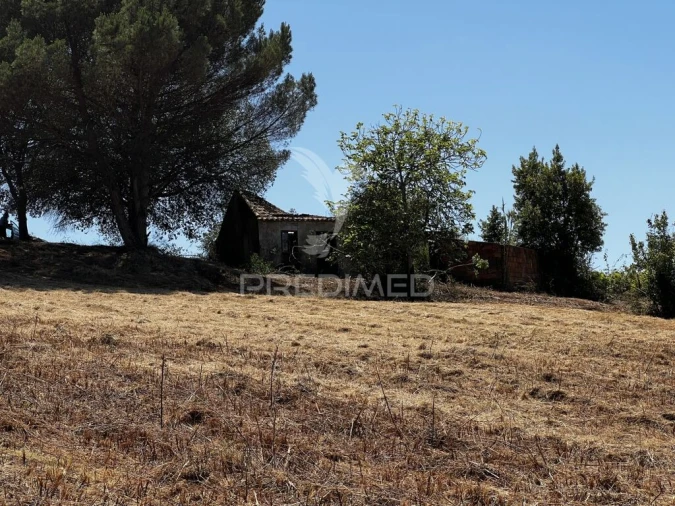 Quinta T3 para Venda em Landal Foto 16