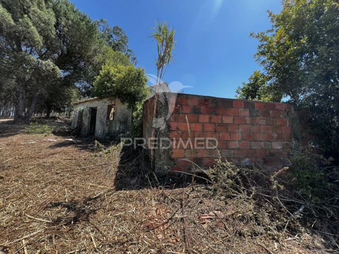 Quinta T3 para Venda em Landal Foto 4