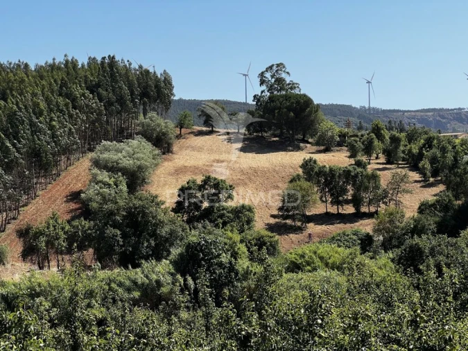 Quinta T3 para Venda em Landal Foto 6