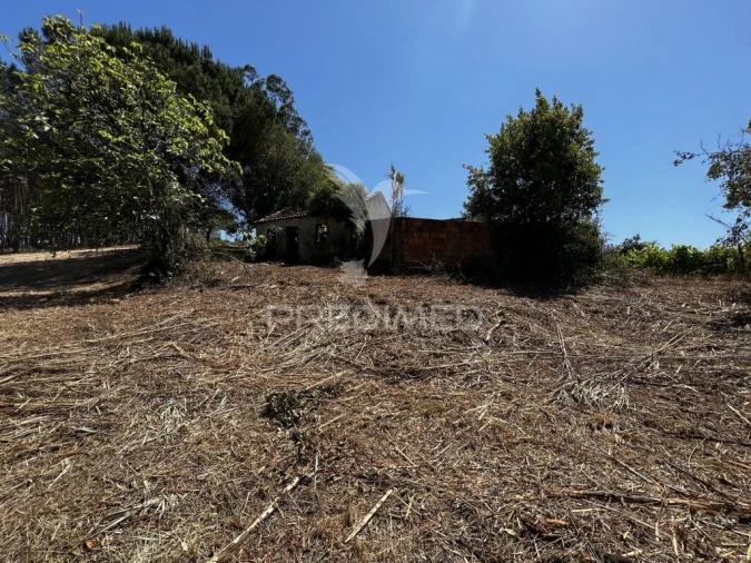 Quinta T3 para Venda em Landal Foto 10