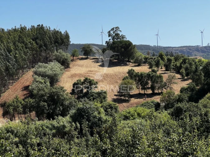 Quinta T3 para Venda em Landal Foto 12