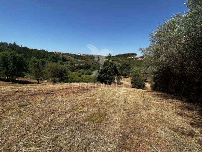 Quinta T3 para Venda em Landal Foto 18