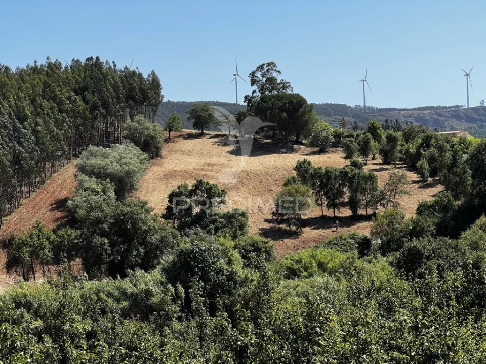 Quinta T3 para Venda em Landal Foto 12