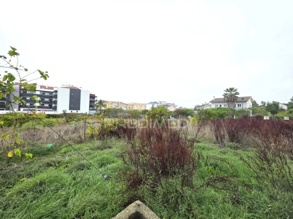 Terreno para Venda em Nossa Sra de Fatima Foto 19
