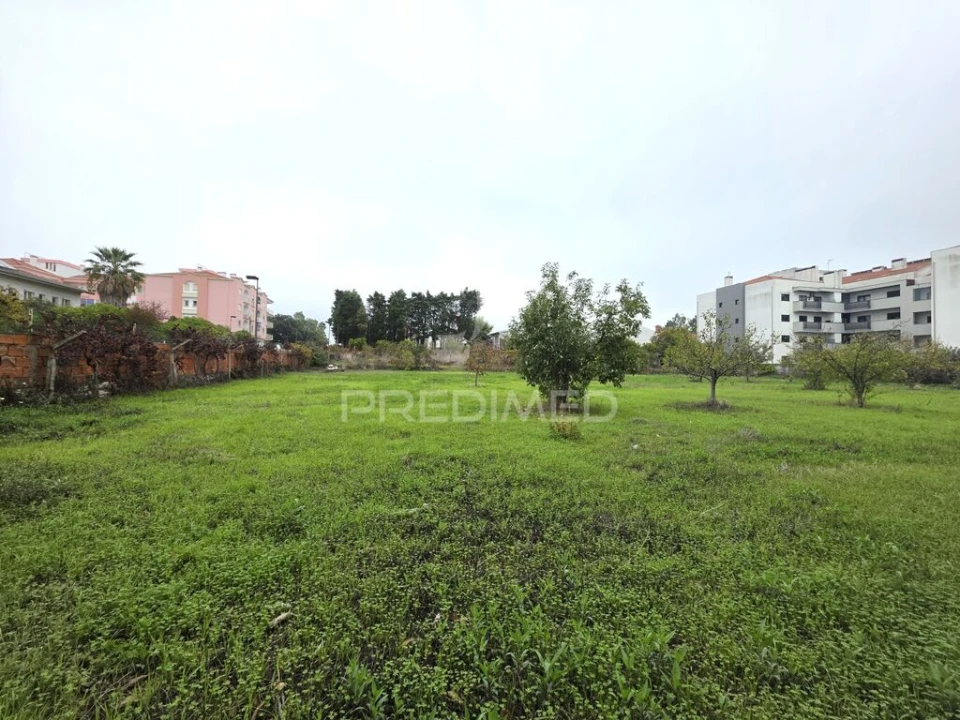 Terreno para Venda em Nossa Sra de Fatima Foto 12