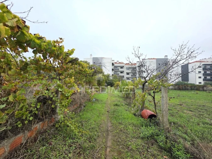Terreno para Venda em Nossa Sra de Fatima Foto 9